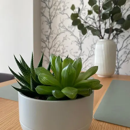 公寓 Ann's 格但斯克