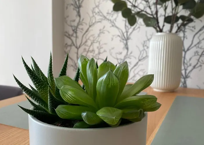 Apartman Ann's Gdańsk